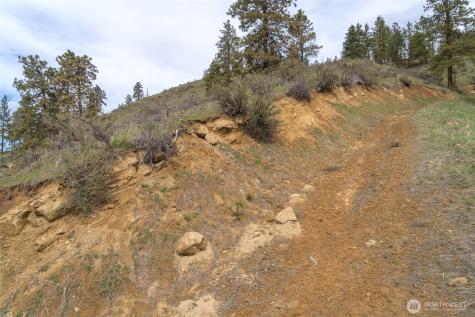 4681 Brisky Canyon Road Cashmere WA 98815
