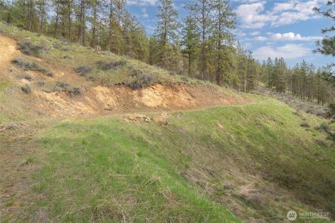 4681 Brisky Canyon Road Cashmere WA 98815