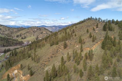 4681 Brisky Canyon Road Cashmere WA 98815