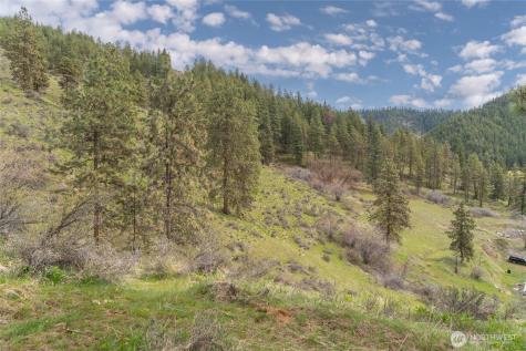 4681 Brisky Canyon Road Cashmere WA 98815