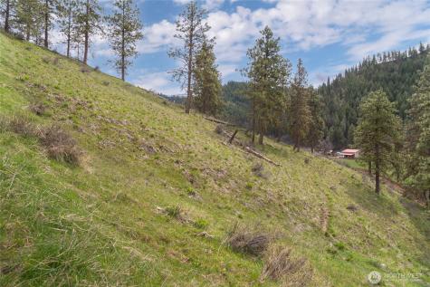 4681 Brisky Canyon Road Cashmere WA 98815