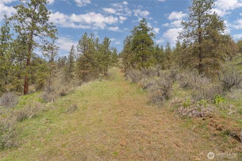 4681 Brisky Canyon Road Cashmere WA 98815