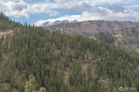 4681 Brisky Canyon Road Cashmere WA 98815