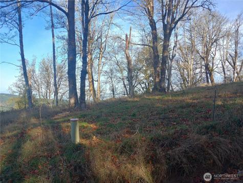 167 Wagner Road Kelso WA 98626