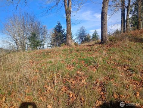 167 Wagner Road Kelso WA 98626