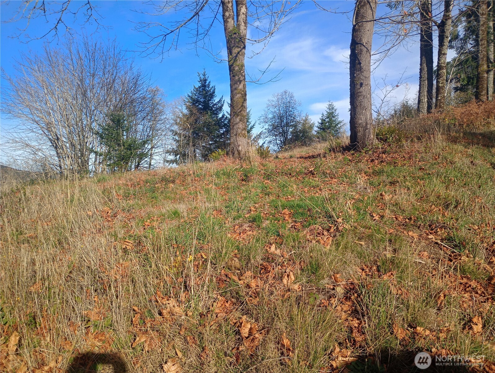 167 Wagner Road Kelso WA 98626