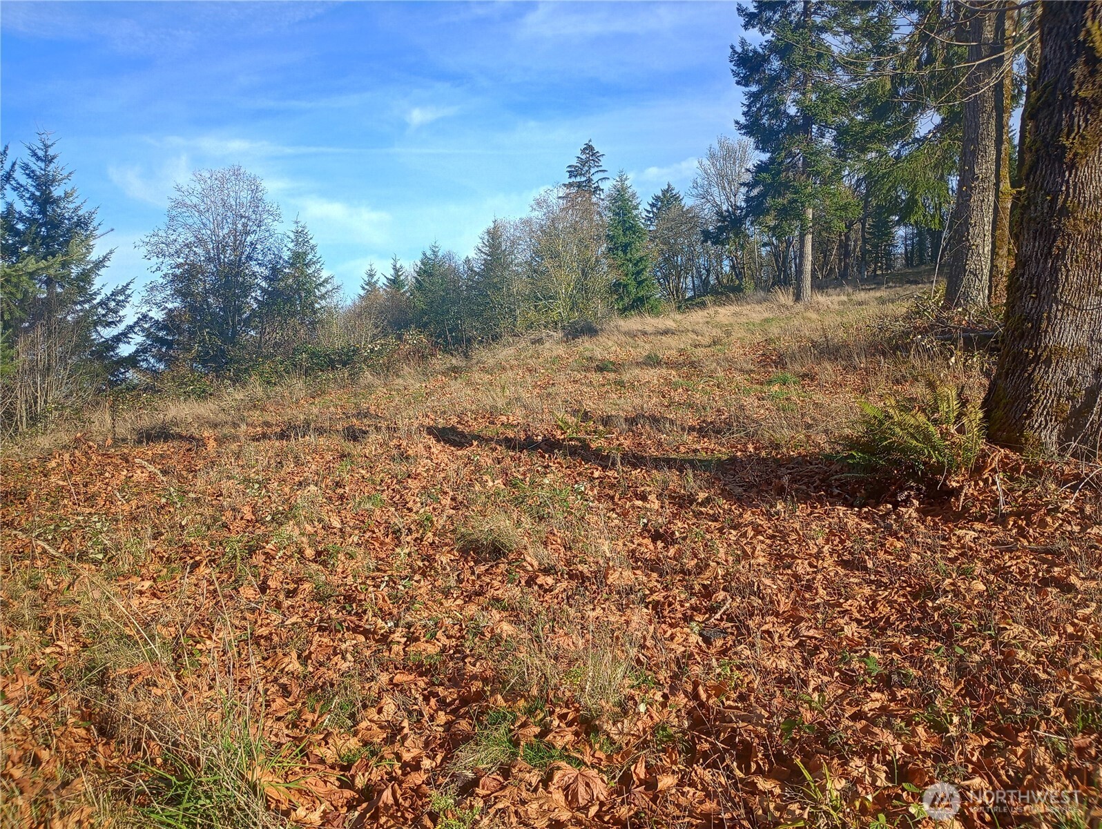 167 Wagner Road Kelso WA 98626