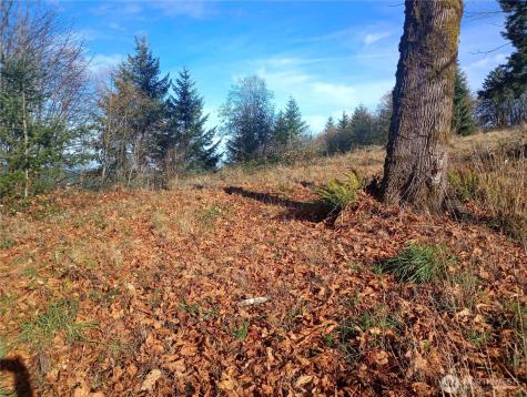 167 Wagner Road Kelso WA 98626