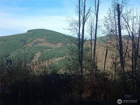167 Wagner Road Kelso WA 98626