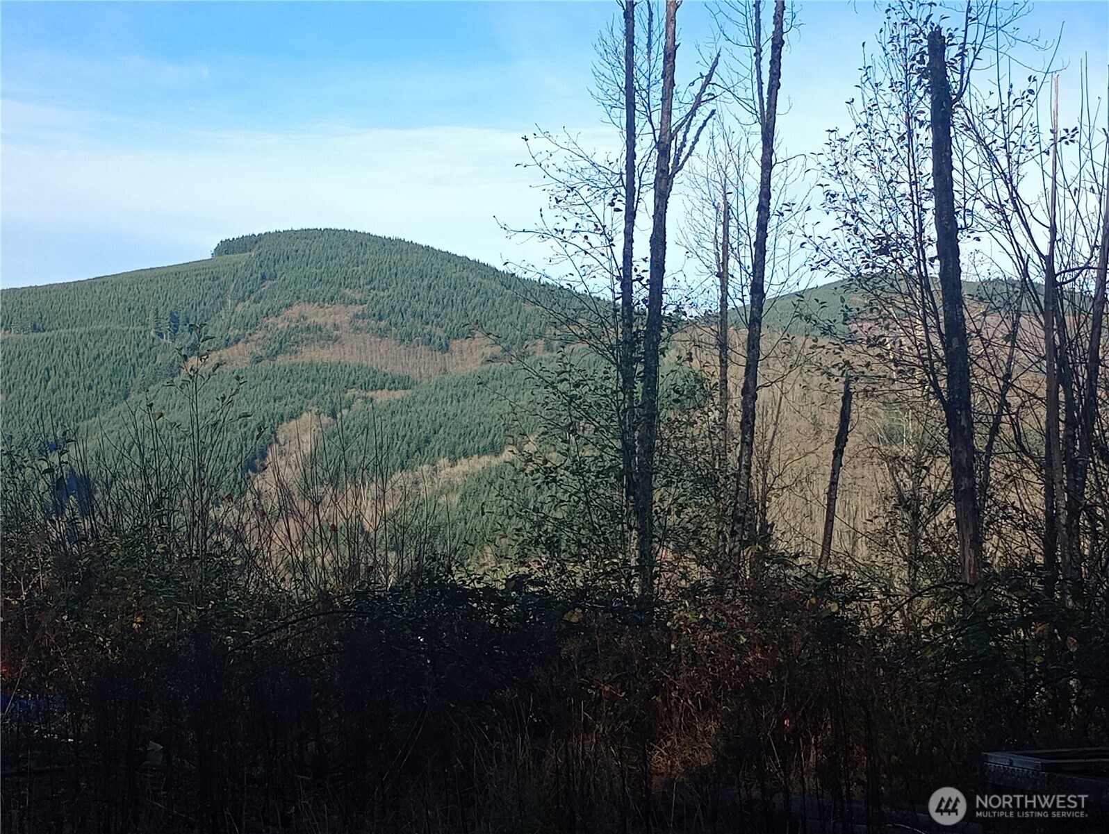 167 Wagner Road Kelso WA 98626