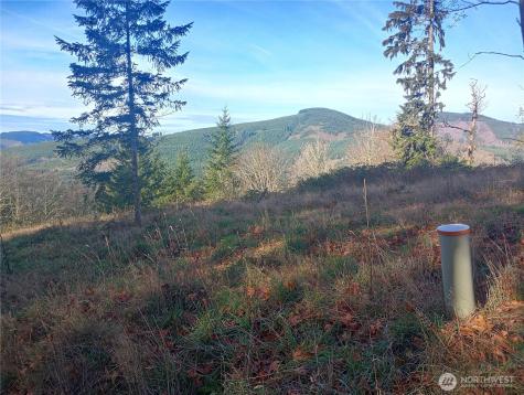 167 Wagner Road Kelso WA 98626