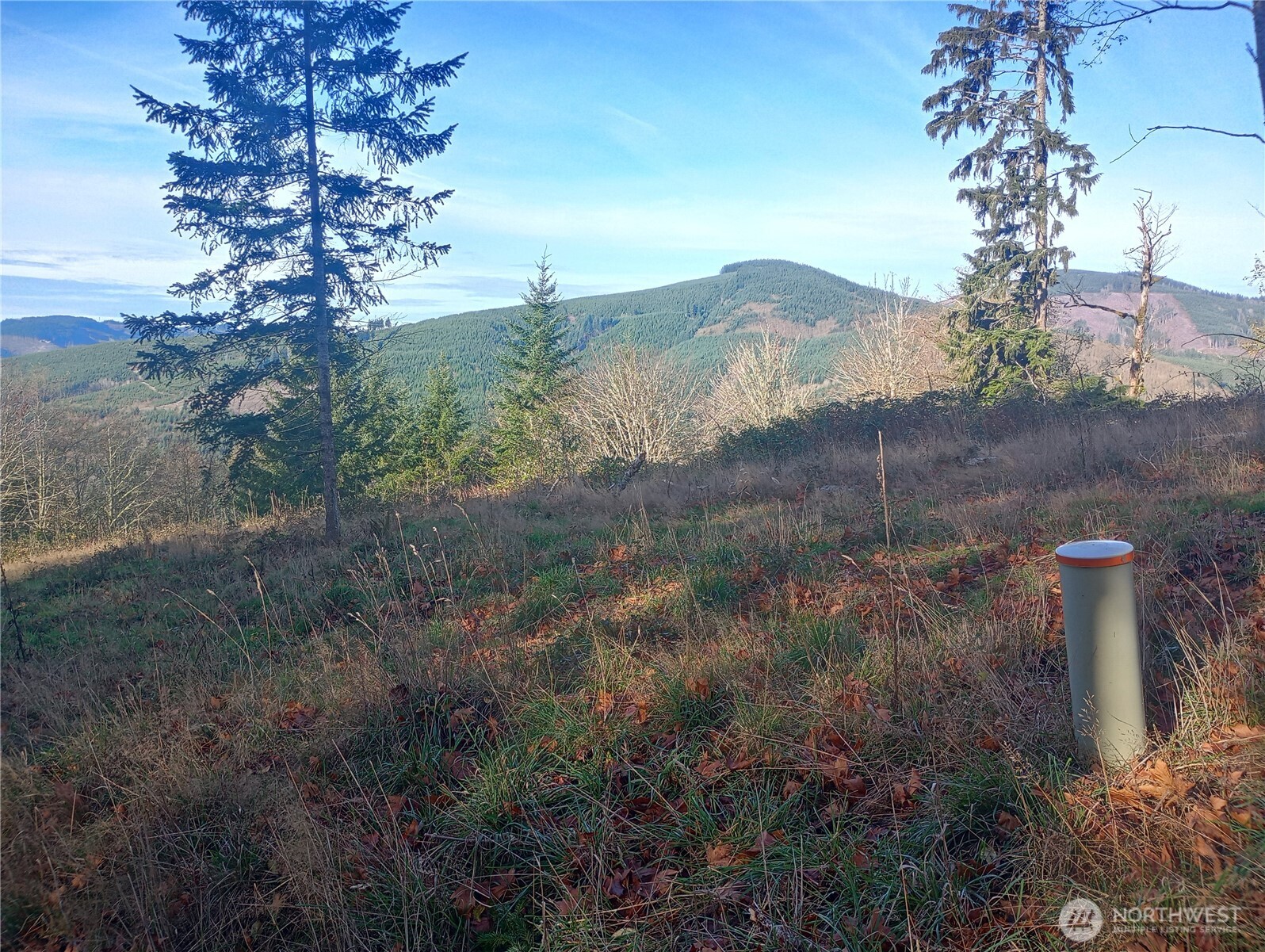 167 Wagner Road Kelso WA 98626
