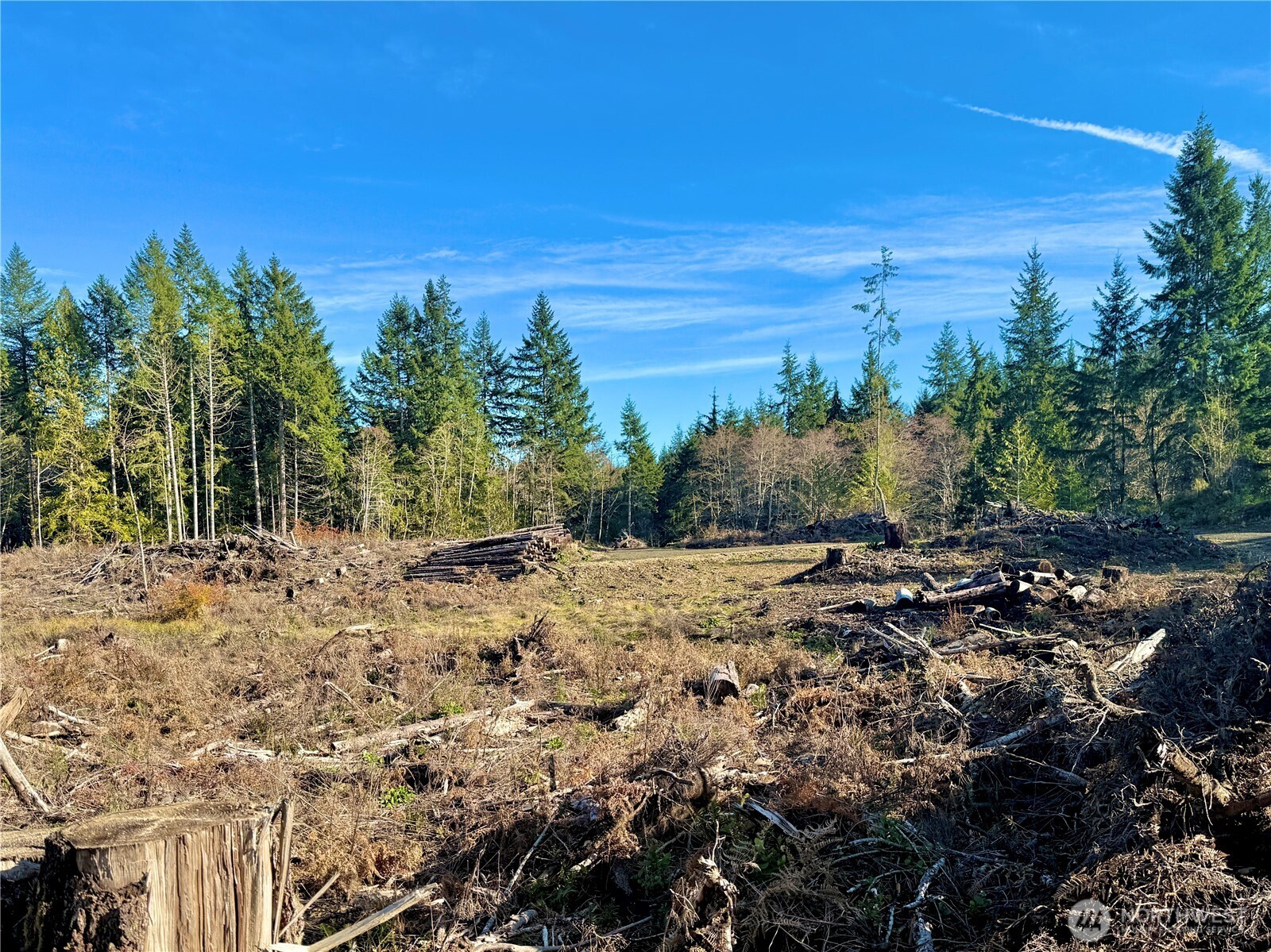 255 E Solbakk Veien Road Shelton WA 98584