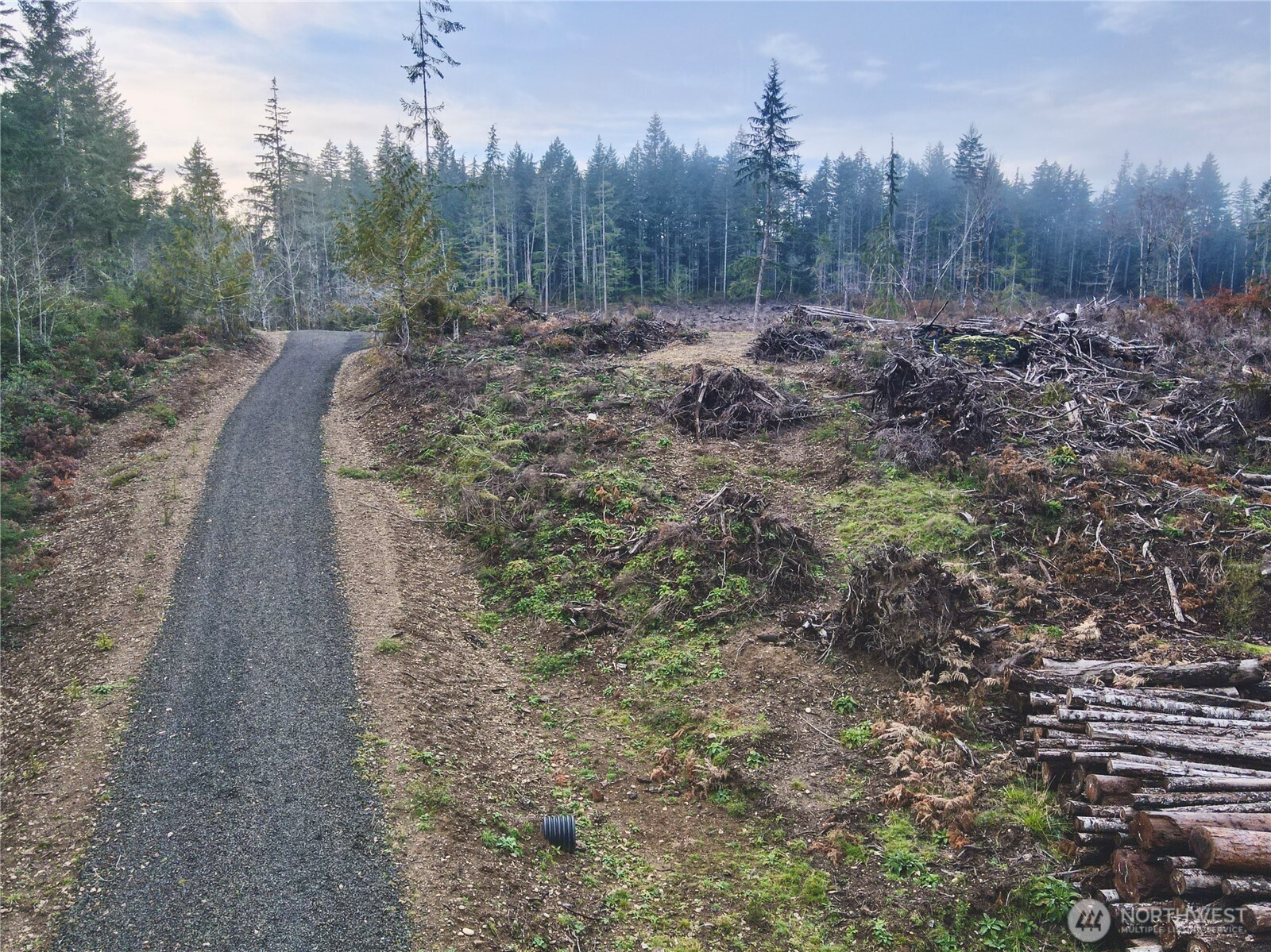 255 E Solbakk Veien Road Shelton WA 98584