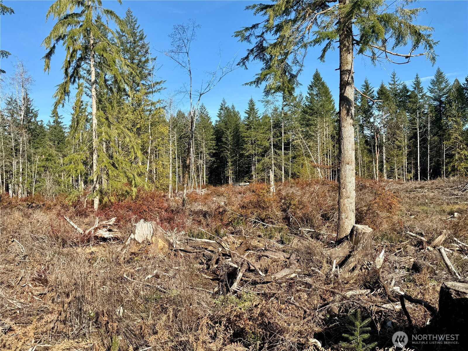 255 E Solbakk Veien Road Shelton WA 98584