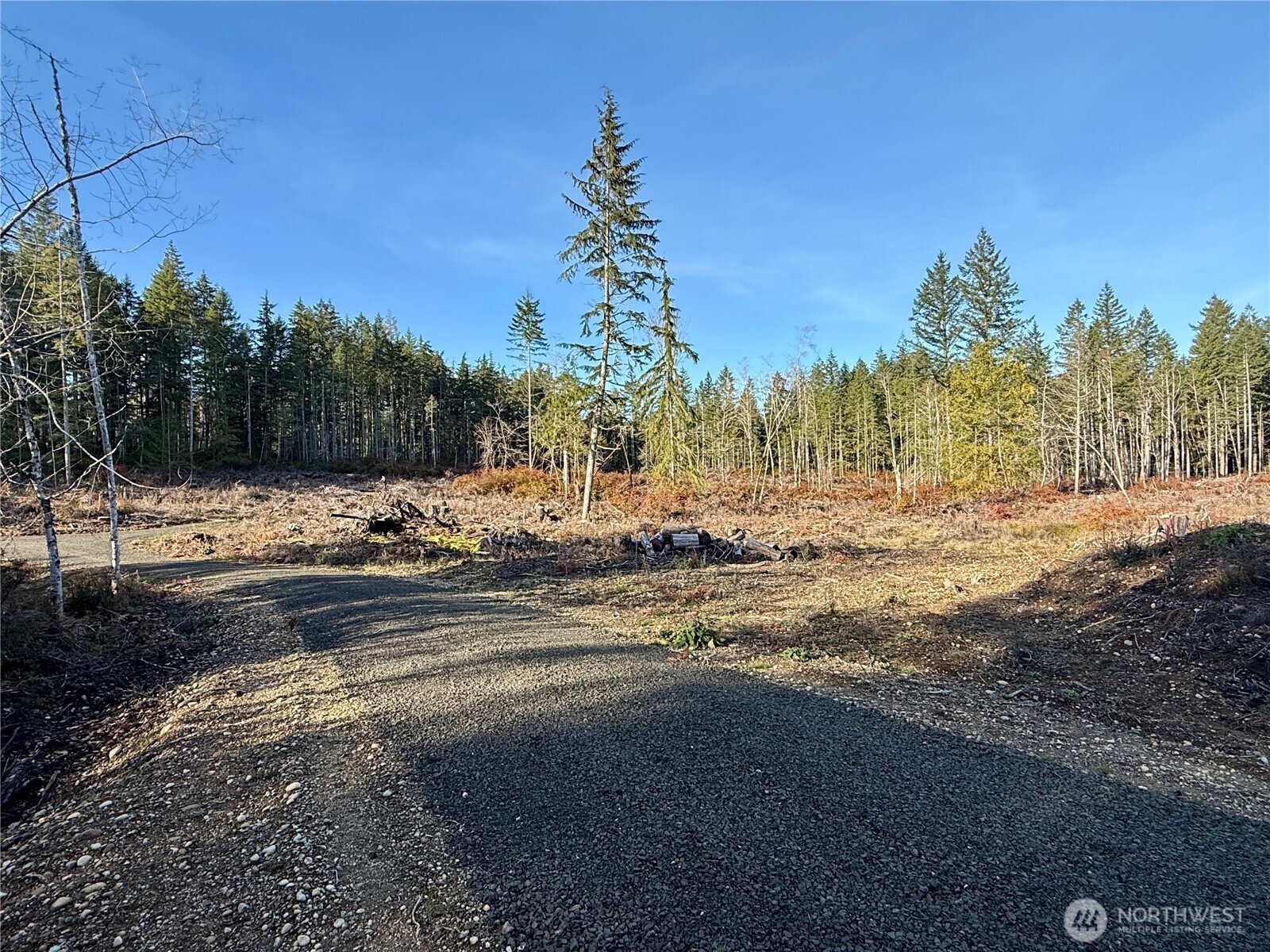 255 E Solbakk Veien Road Shelton WA 98584