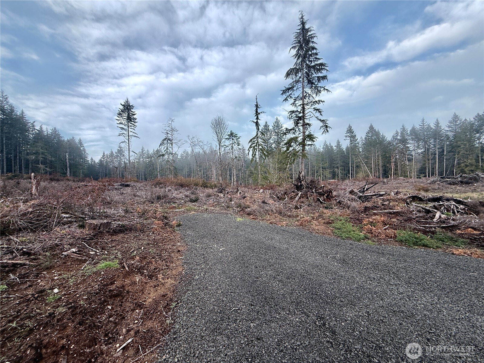 255 E Solbakk Veien Road Shelton WA 98584