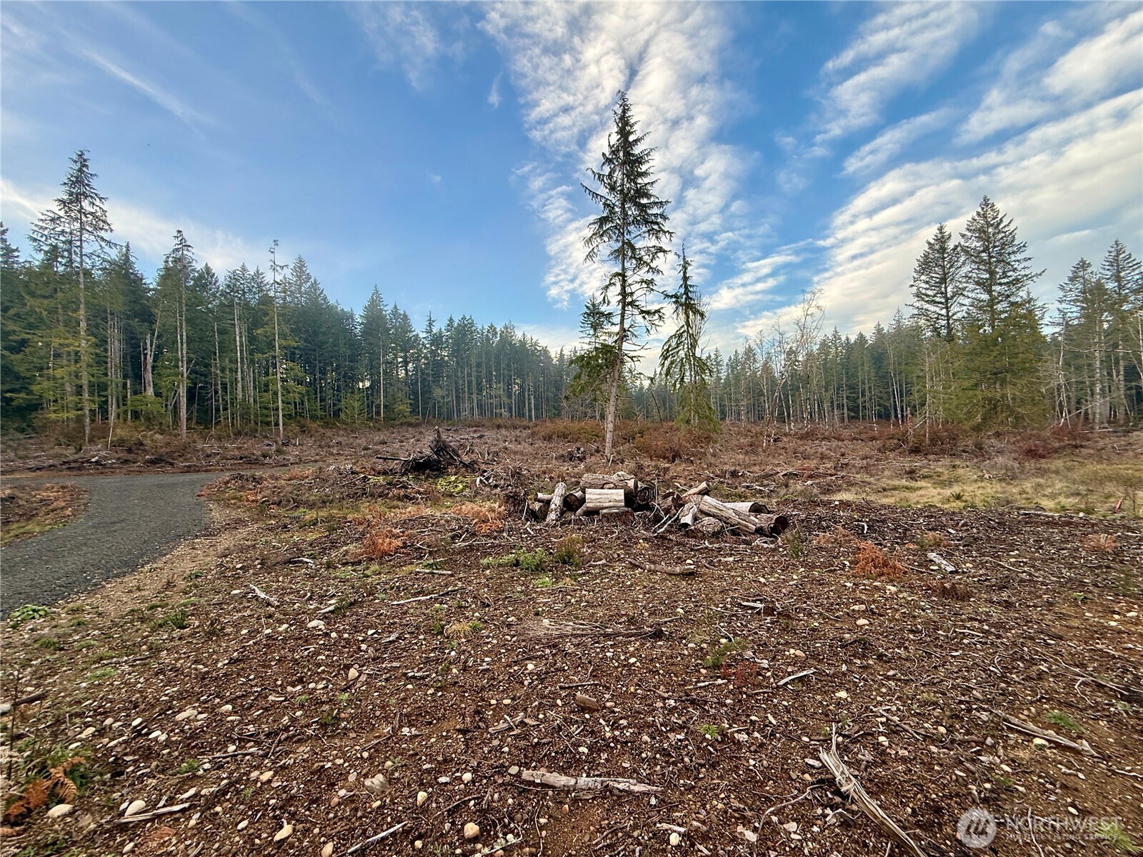 255 E Solbakk Veien Road Shelton WA 98584