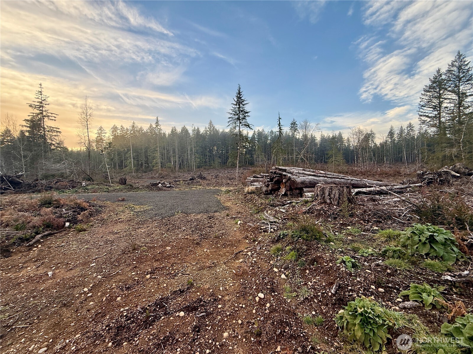 255 E Solbakk Veien Road Shelton WA 98584