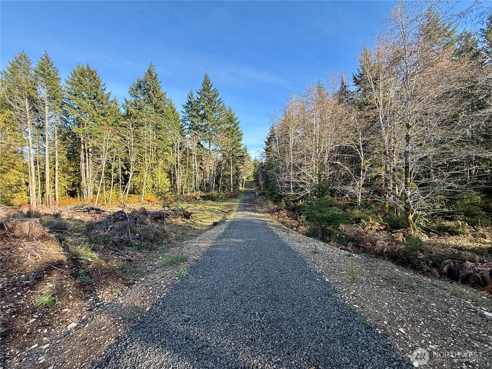 255 E Solbakk Veien Road Shelton WA 98584