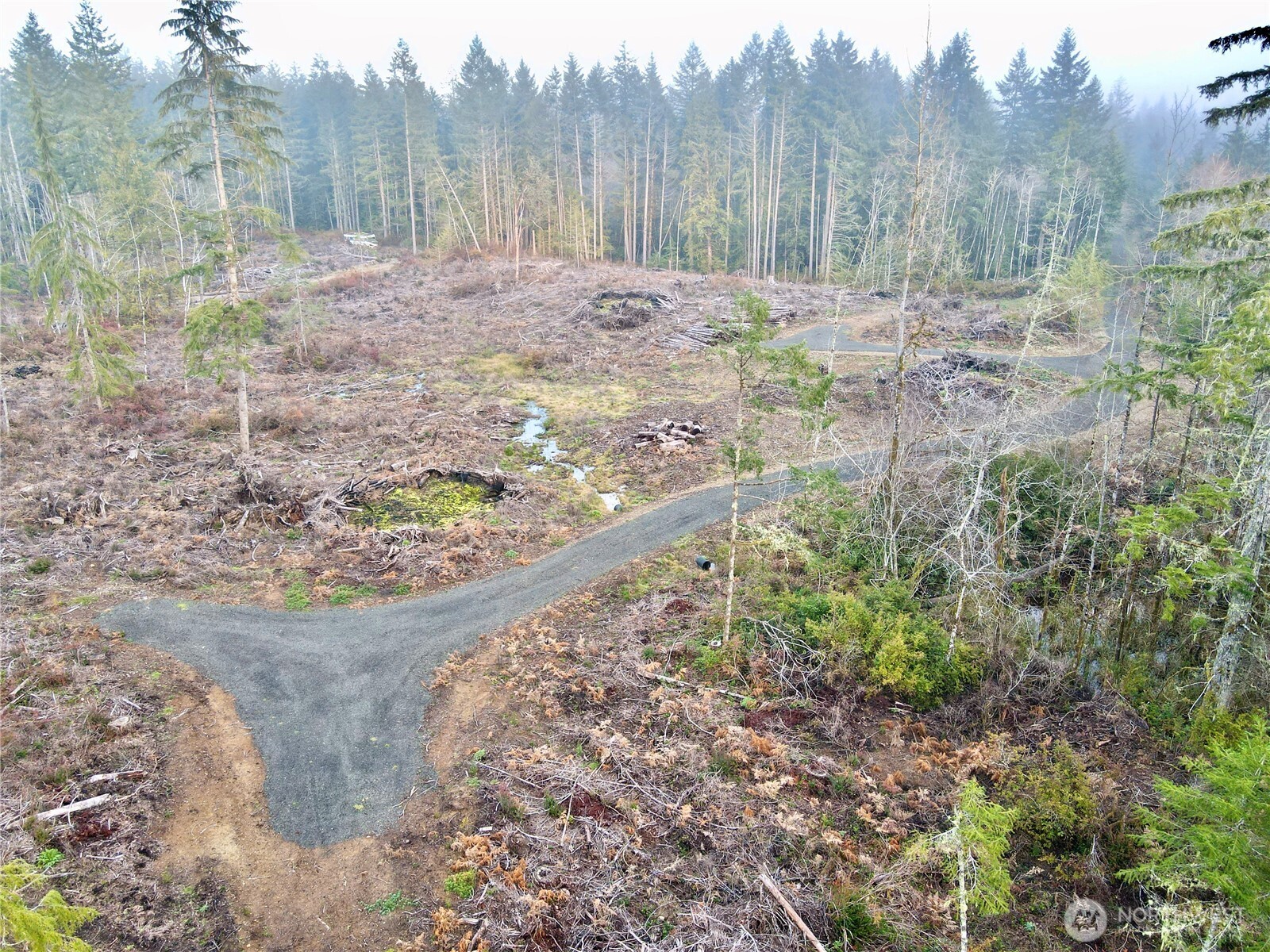 255 E Solbakk Veien Road Shelton WA 98584
