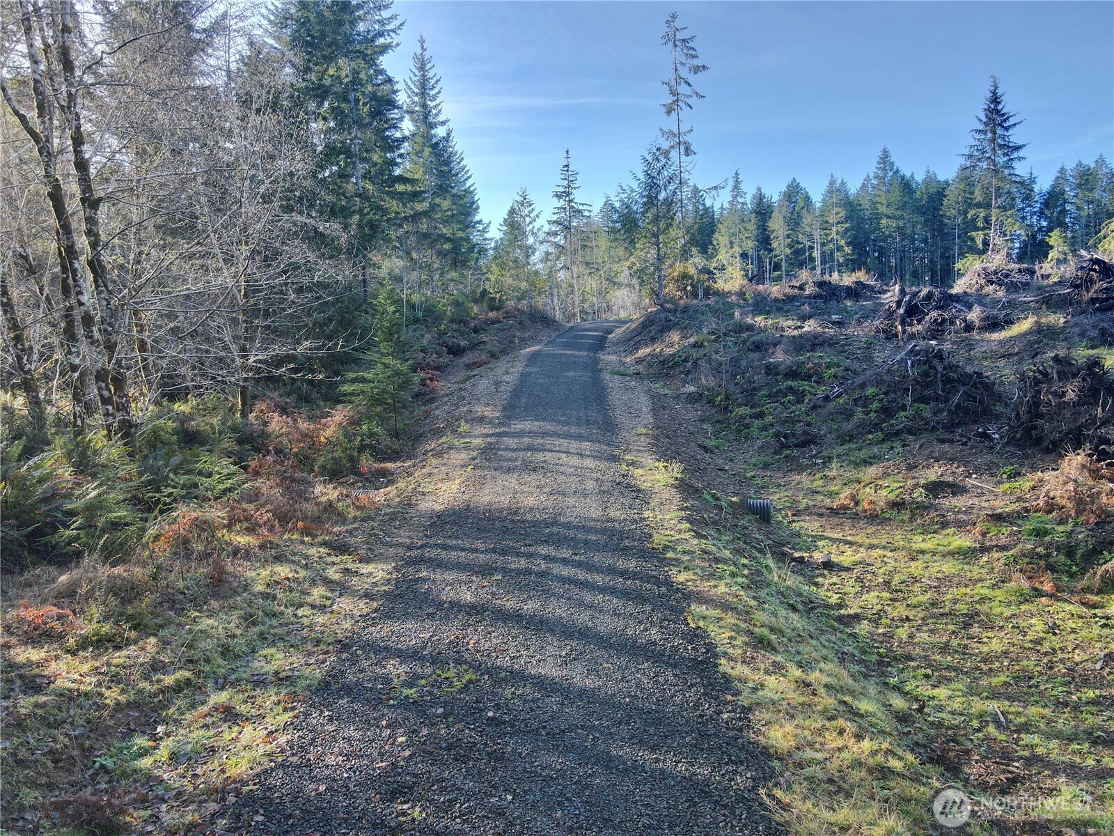 255 E Solbakk Veien Road Shelton WA 98584