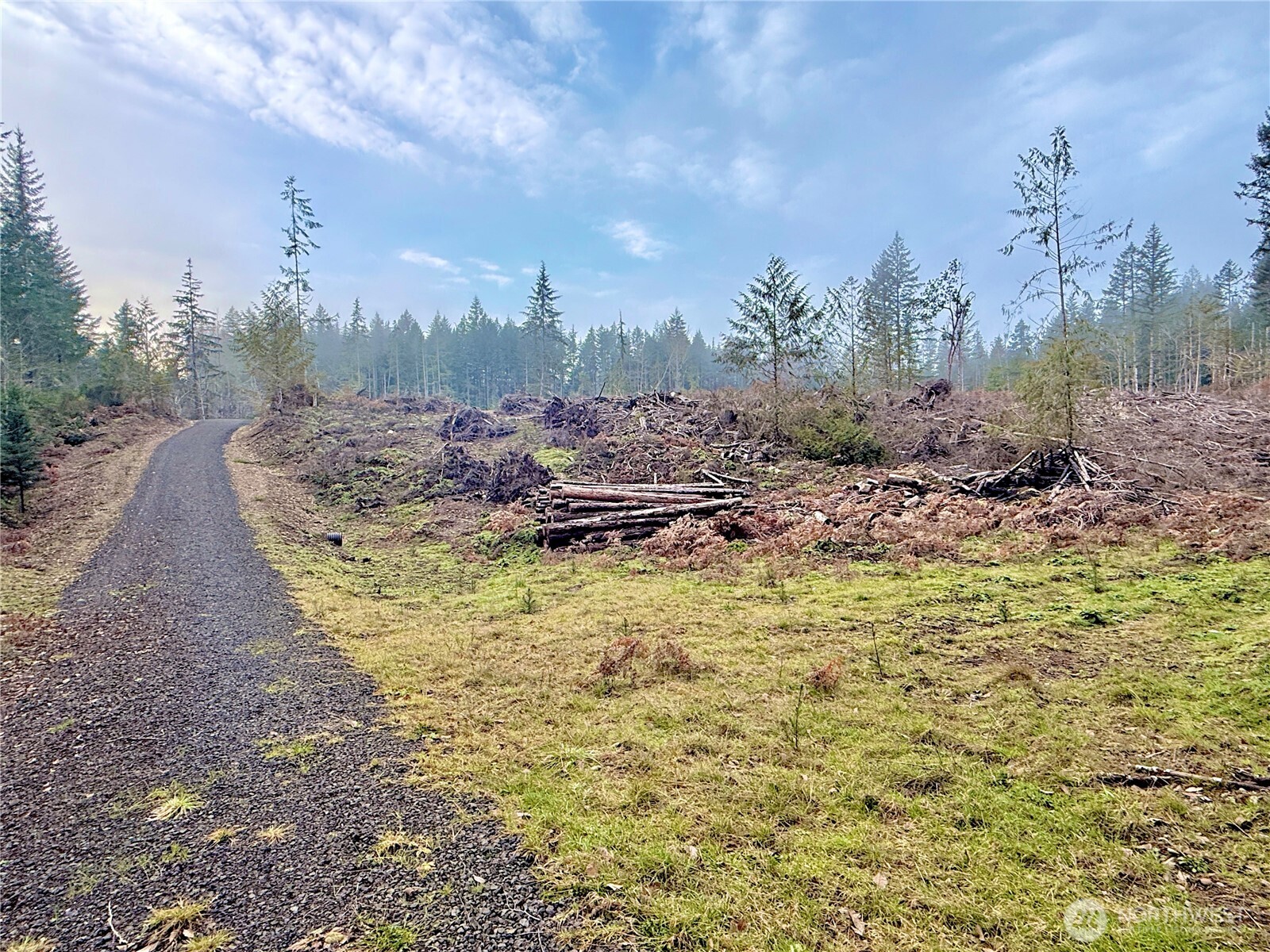 255 E Solbakk Veien Road Shelton WA 98584