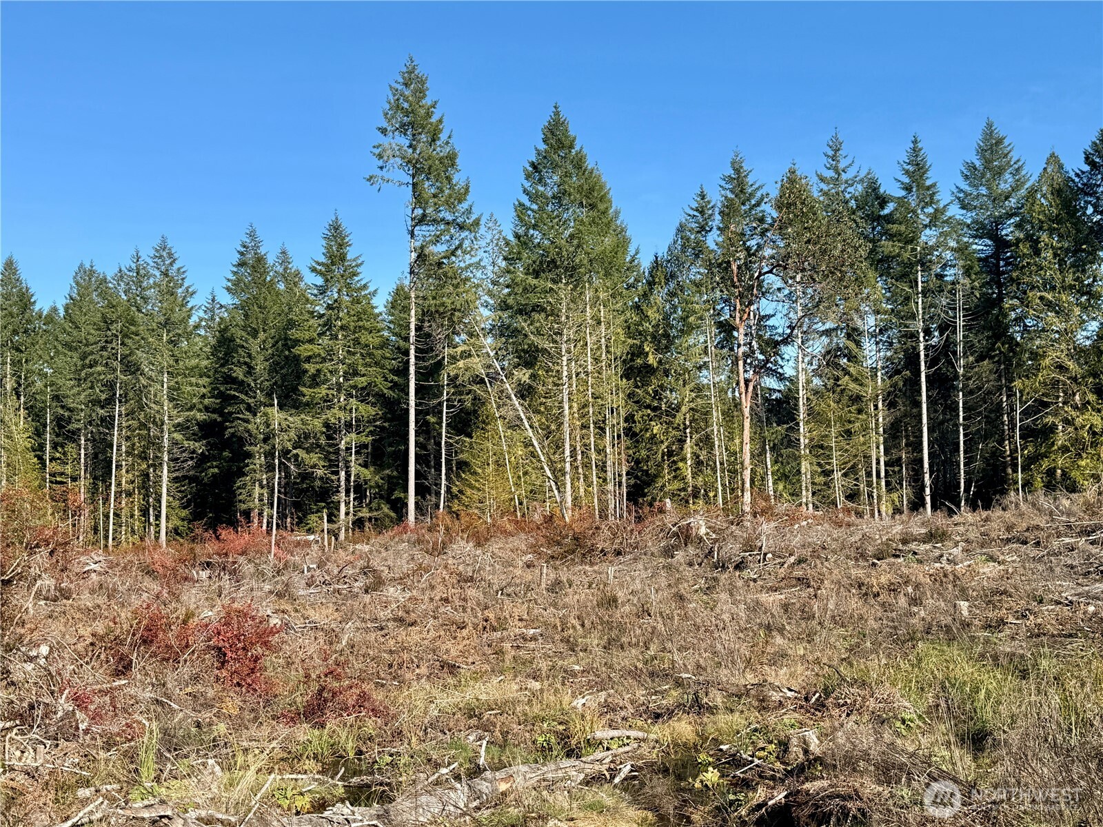 255 E Solbakk Veien Road Shelton WA 98584