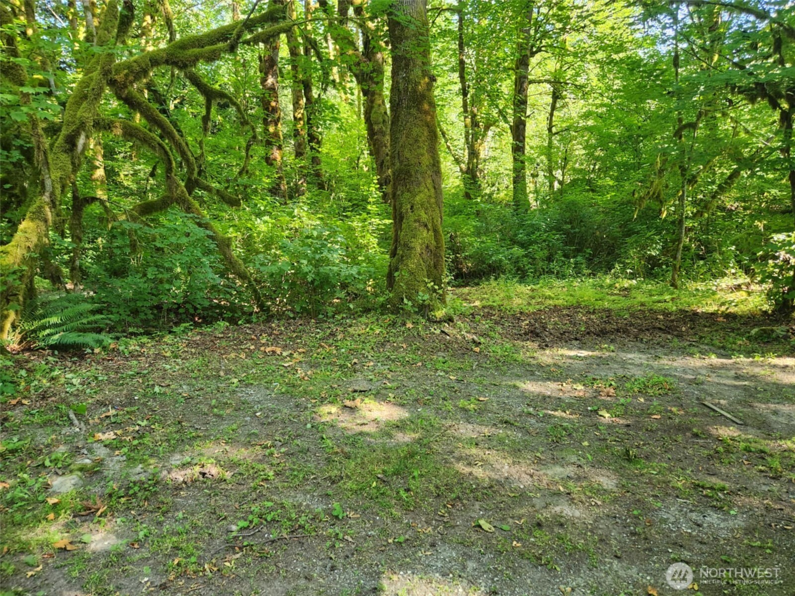 31229 419th Avenue NE Arlington WA 98223