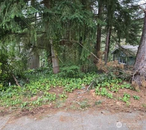 4684 152nd Place SE Bellevue WA 98006