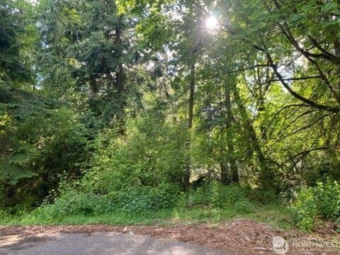 10419 107th Street Court Anderson Island WA 98303