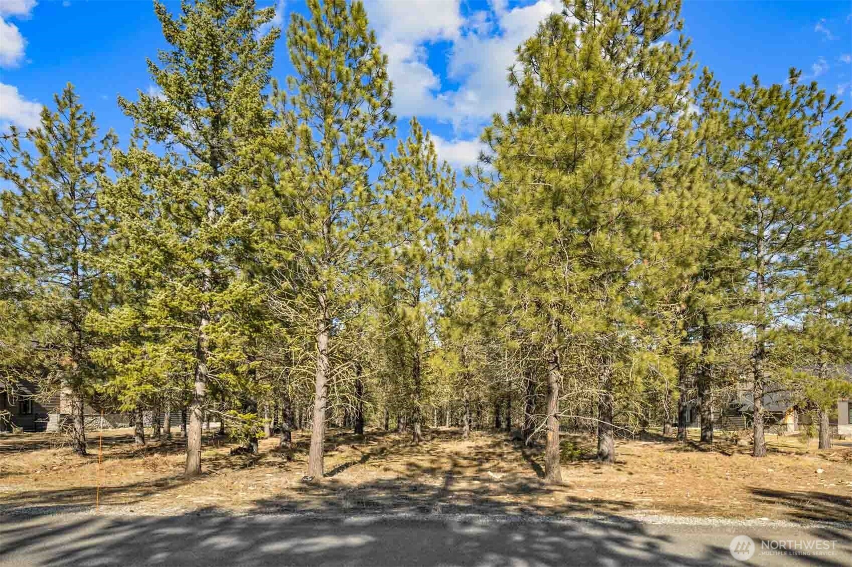 381 Gold Leaf Lane Cle Elum WA 98922
