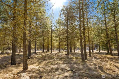 381 Gold Leaf Lane Cle Elum WA 98922