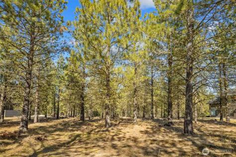 381 Gold Leaf Lane Cle Elum WA 98922