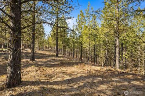 381 Gold Leaf Lane Cle Elum WA 98922
