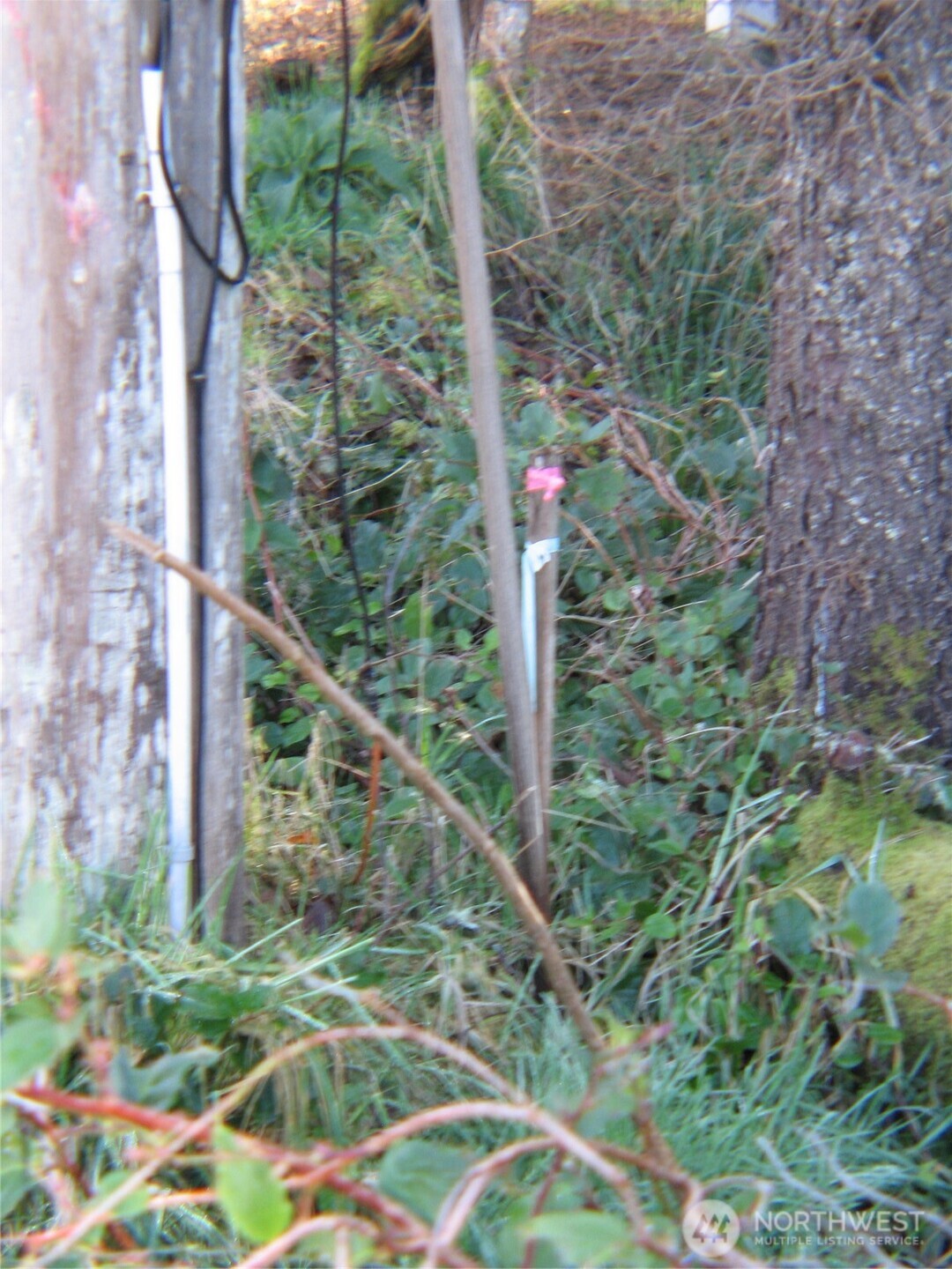 1704 320th Place Ocean Park WA 98640