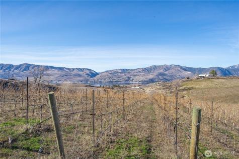 0 Boyd Road Chelan WA 98816