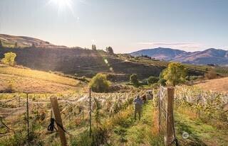 0 Boyd Road Chelan WA 98816