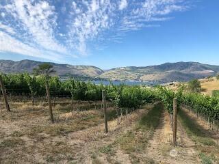 0 Boyd Road Chelan WA 98816