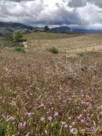 0 Boyd Road Chelan WA 98816