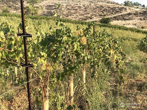 0 Boyd Road Chelan WA 98816