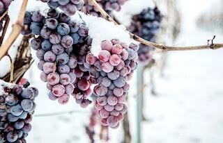 0 Boyd Road Chelan WA 98816