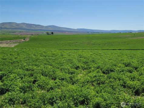 1612 Katen Road Ellensburg WA 98926