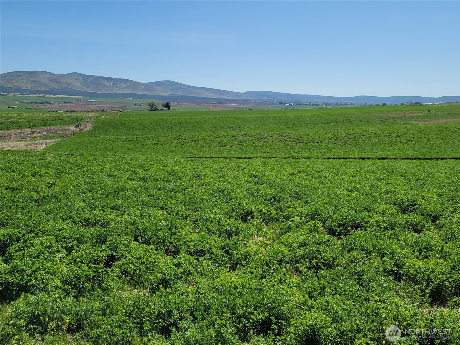 1612 Katen Road Ellensburg WA 98926