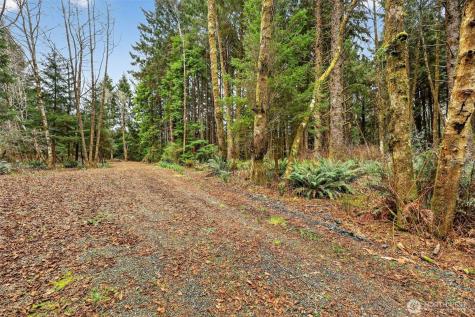 2772 State Route 109 Ocean City WA 98569