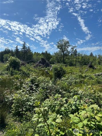 1 Seaview Lane Mount Vernon WA 98273