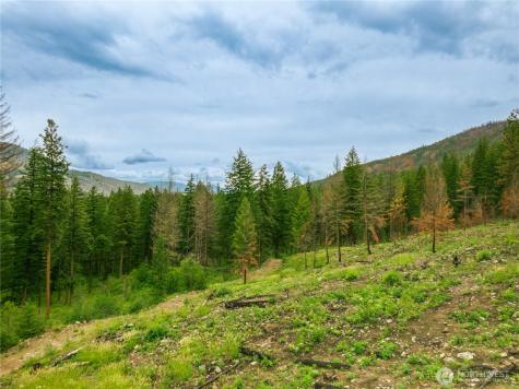 0 Wolf Creek Road Mazama WA 98833