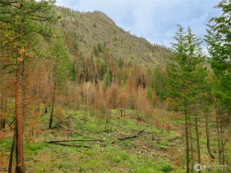 0 Wolf Creek Road Mazama WA 98833