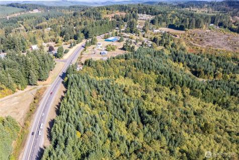 0 Spirit Lake Highway Castle Rock WA 98611