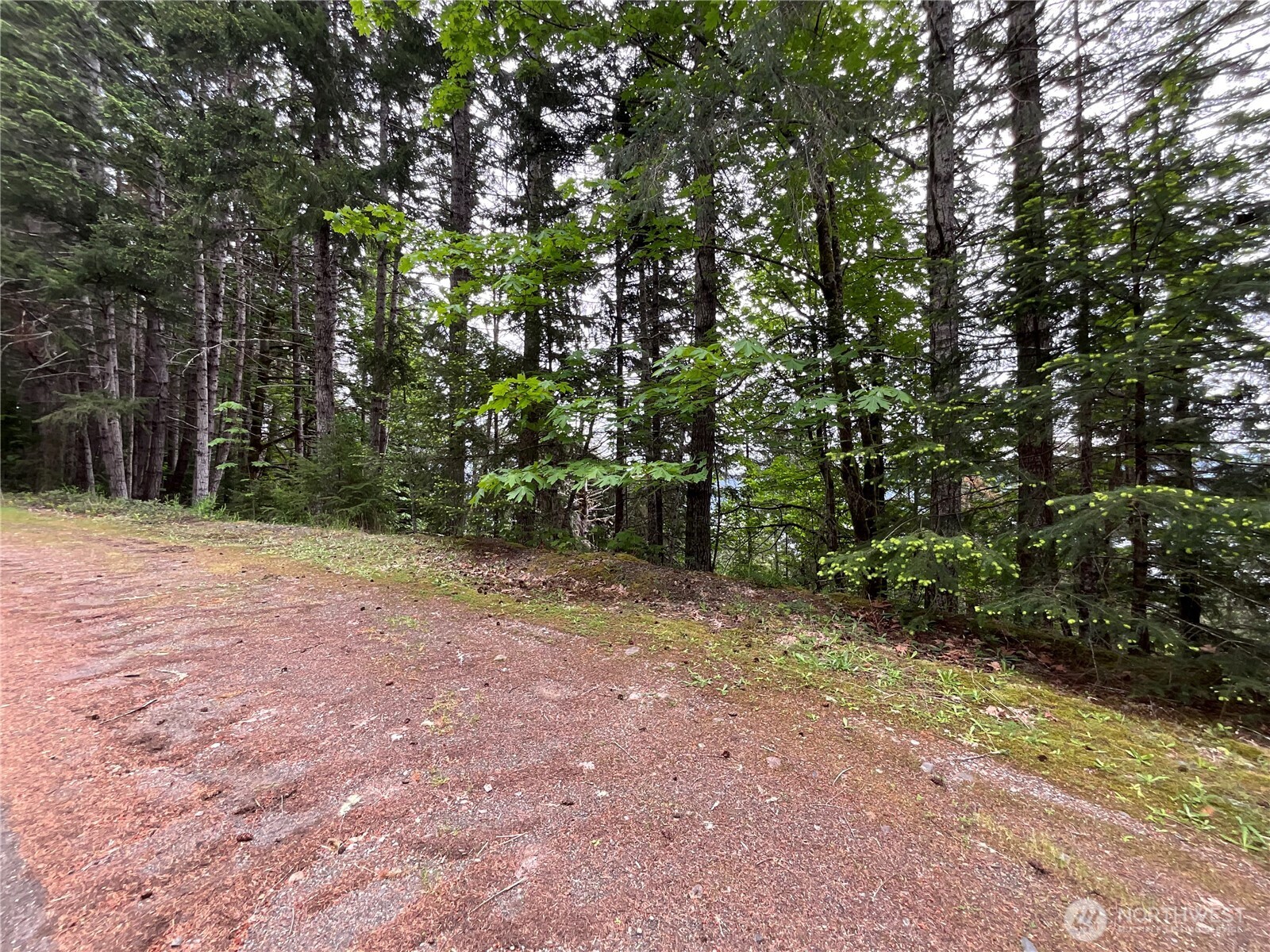 6 X N Colony Surf Drive Lilliwaup WA 98555